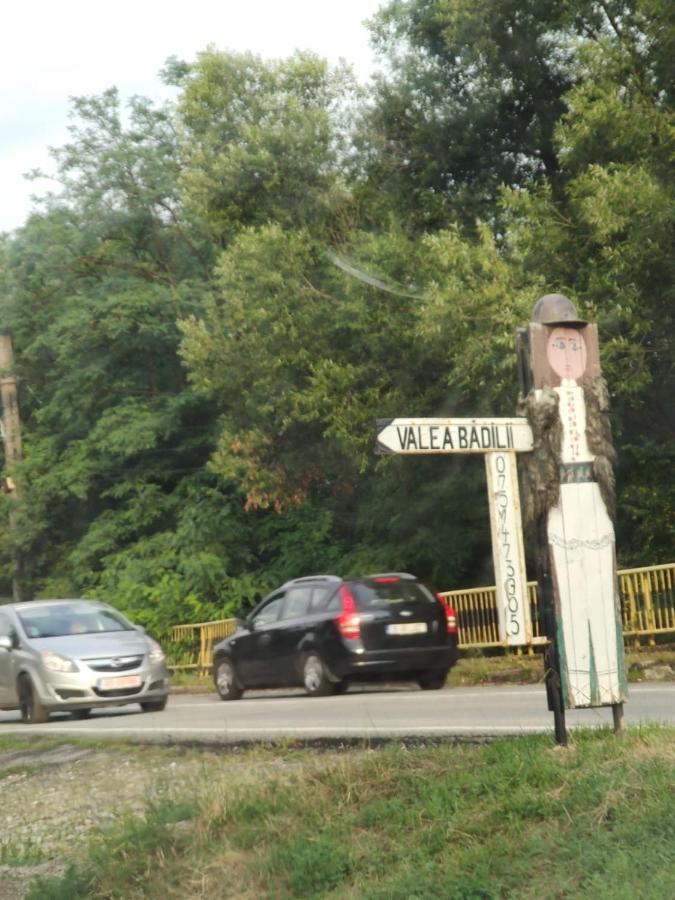 Pensiunea Valea Badilii Valea Iasului Екстериор снимка