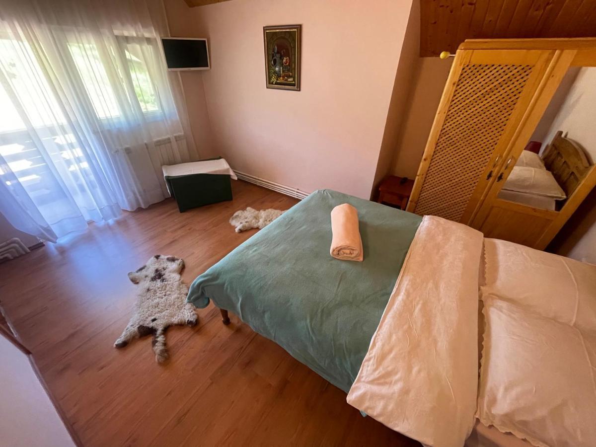 Pensiunea Valea Badilii Valea Iasului Екстериор снимка