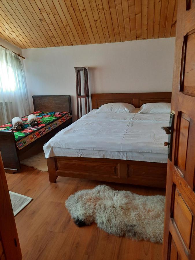 Pensiunea Valea Badilii Valea Iasului Екстериор снимка
