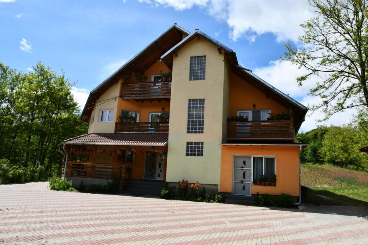 Pensiunea Valea Badilii Valea Iasului Екстериор снимка