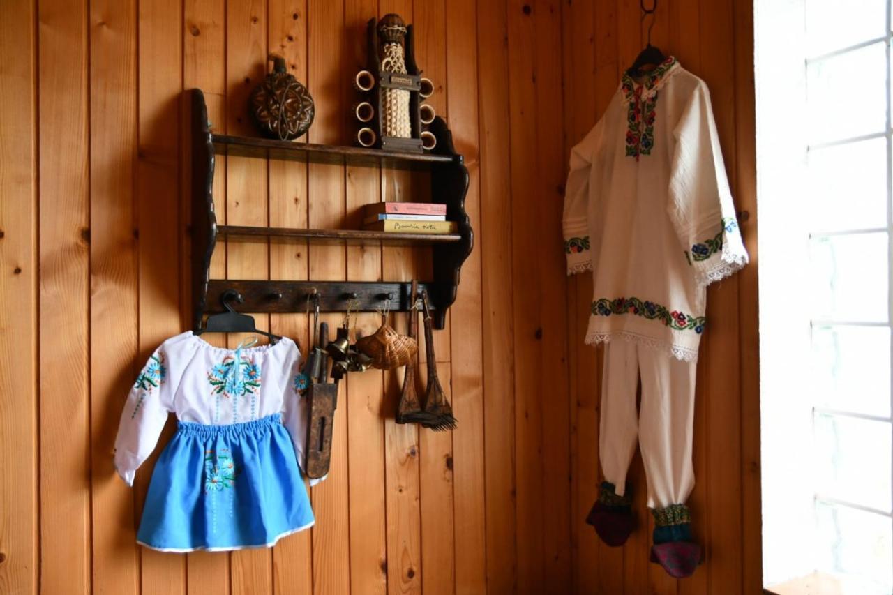 Pensiunea Valea Badilii Valea Iasului Екстериор снимка