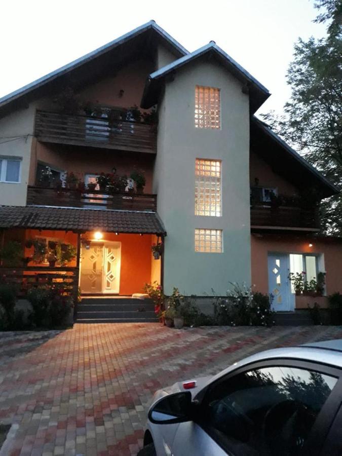 Pensiunea Valea Badilii Valea Iasului Екстериор снимка
