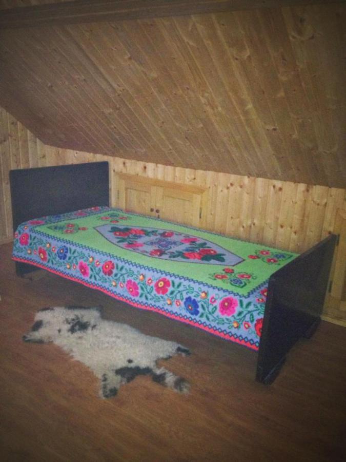 Pensiunea Valea Badilii Valea Iasului Екстериор снимка