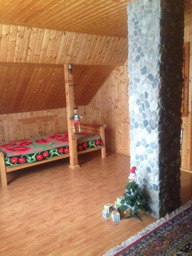 Pensiunea Valea Badilii Valea Iasului Екстериор снимка